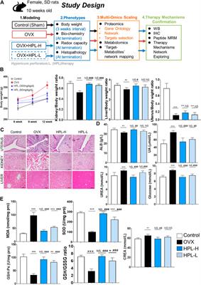 Hypericum perforatum L. Regulates Glutathione Redox Stress and Normalizes Ggt1/Anpep Signaling to Alleviate OVX-Induced Kidney Dysfunction